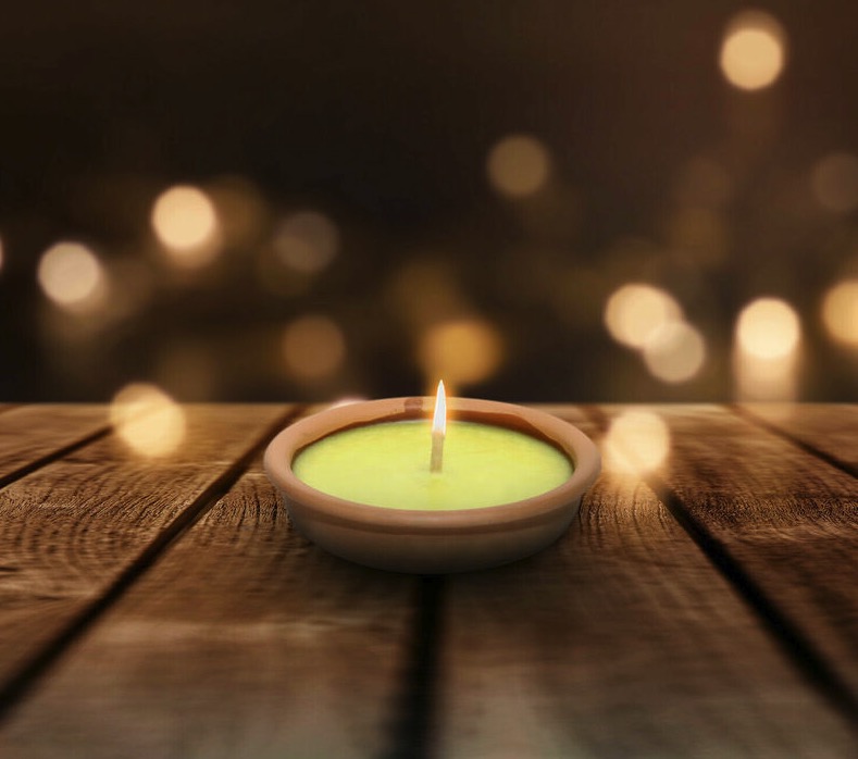 CANDELE ALLA CITRONELLA IN VASETTO DI COCCIO
